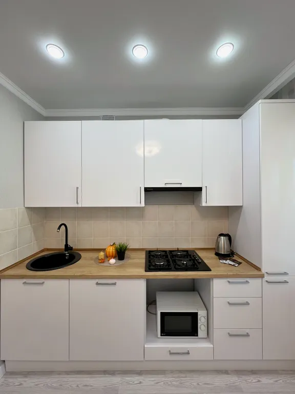 1-комнатная квартира с проектором