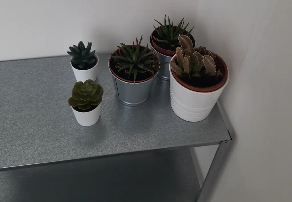 Квартира в жк Парус De Luxe