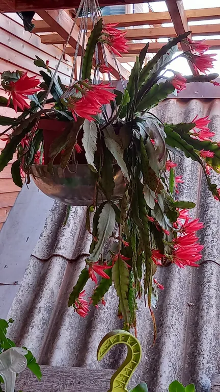 Квартира Комната — Судак