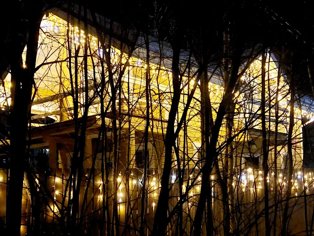 Коттедж Васнецово-озеро, дом на берегу озера у леса в Подоосковье — Ваньково