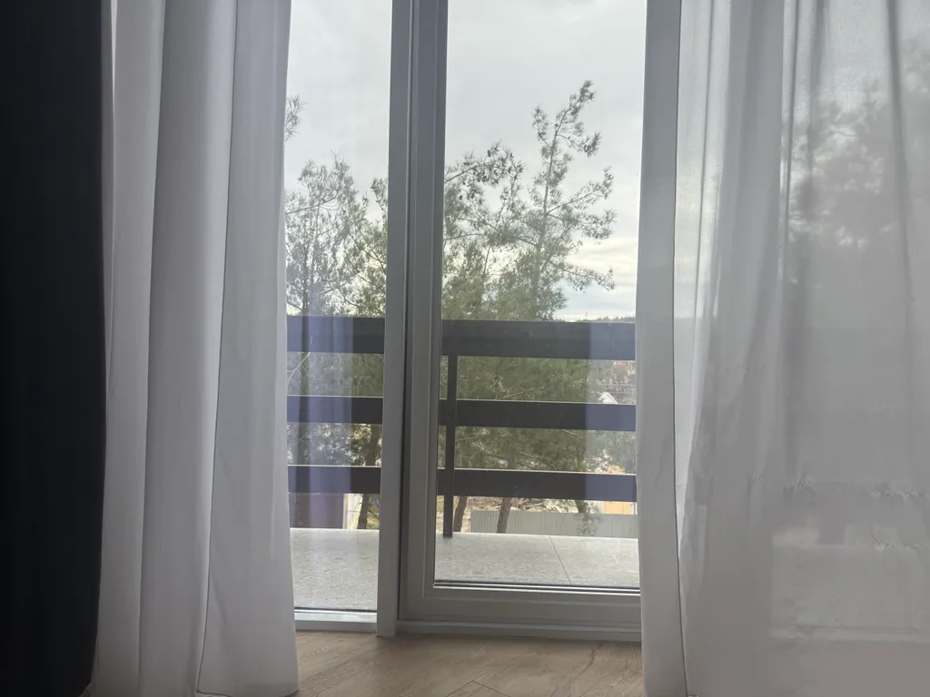 Место под соснами