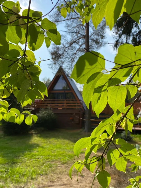 Коттедж Коттедж Шапкинские высоты — Тосно