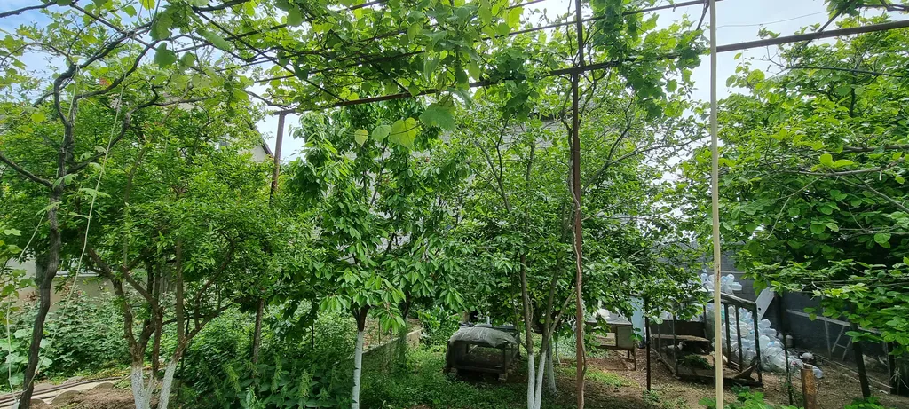 Коттедж Дом с мангальной зоной и красивым садом — Избербаш