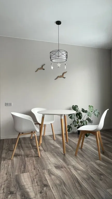 Квартира Апартаменты Лесной голубь в новом доме с отличной локацией — Светлогорск