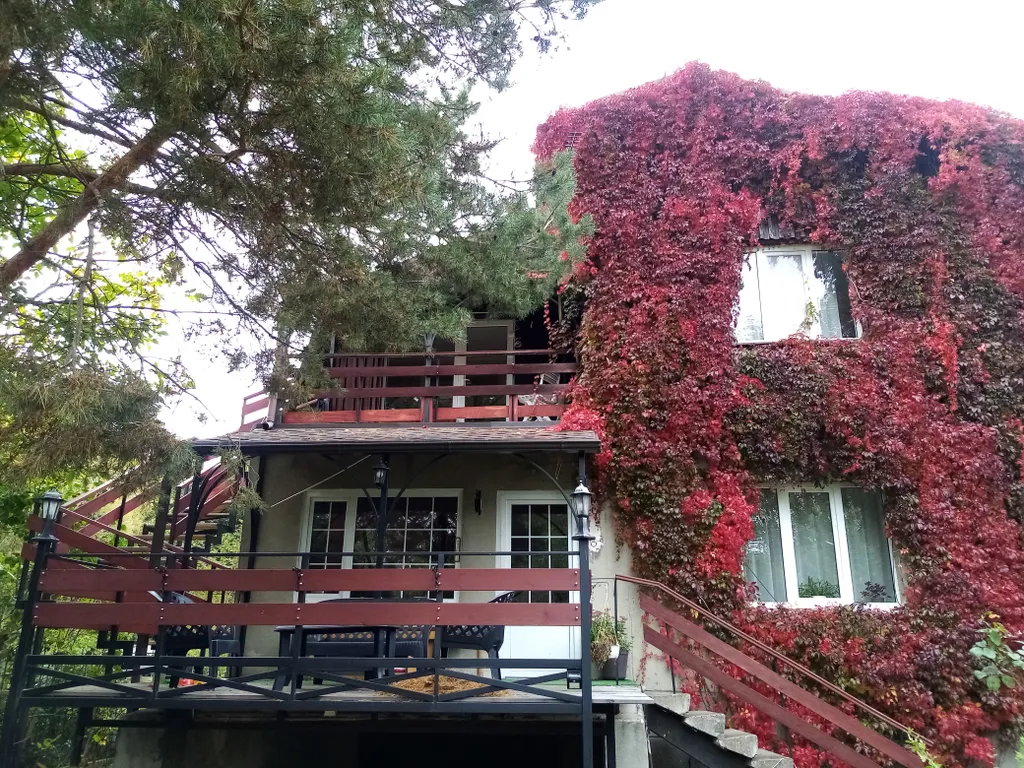 Апартаменты для большой семьи у моря в центре курортного города