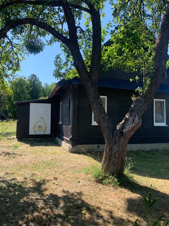 Шале Лесное в Беловежской пуще с электробатареями и выходом в лес