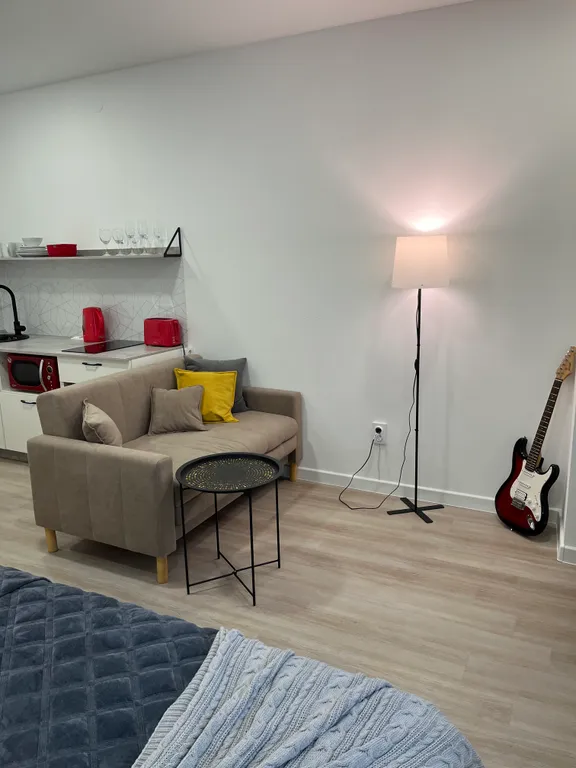 Квартира Квартира Уютная студия в стиле лофт с новым дизайнерским ремонтом — Красноярск