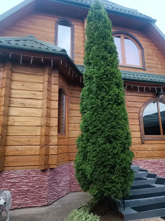 Экодом из столетнего бруса