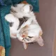 Наталья