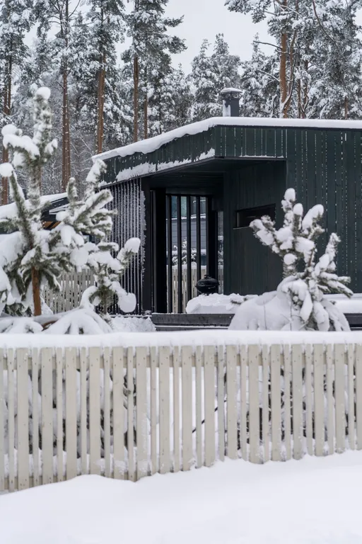 Дом с сауной и купелью