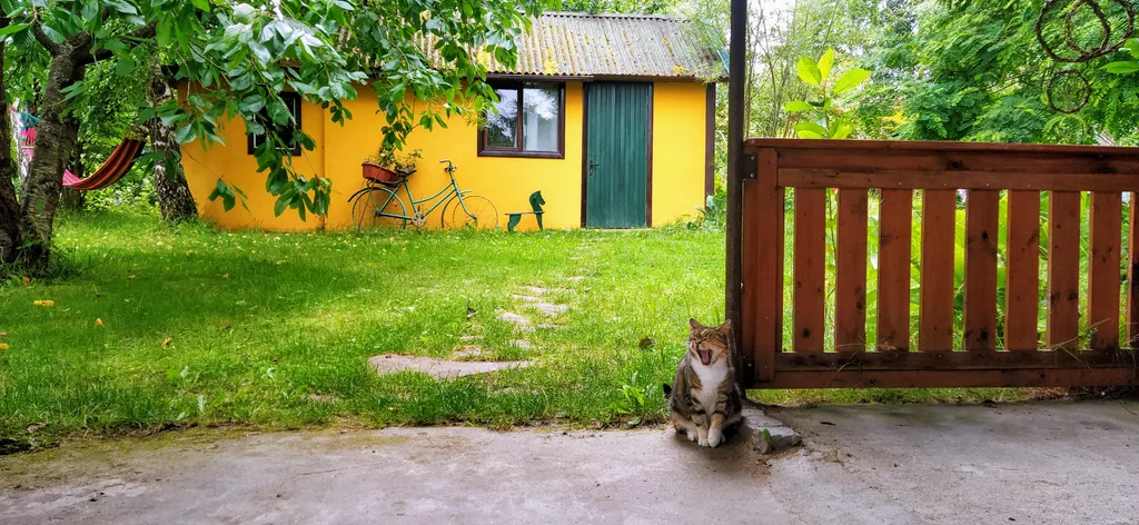 Коттедж Домик в яблоневом саду — Светлогорск