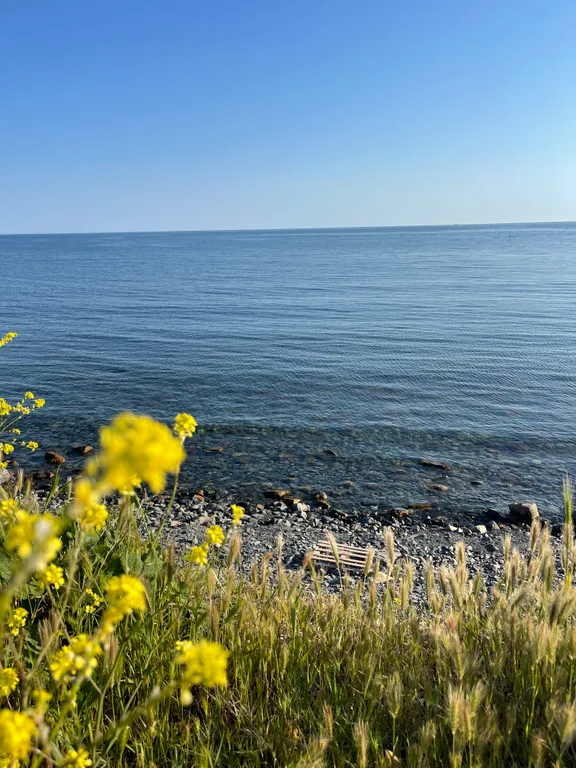 Стильная студия в Сукко, рядом море, Кипарисовое озеро и горы