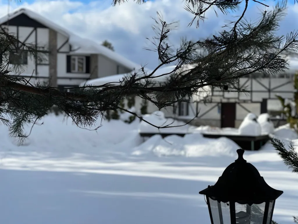 Уютный загородный дом с баней и бассейном