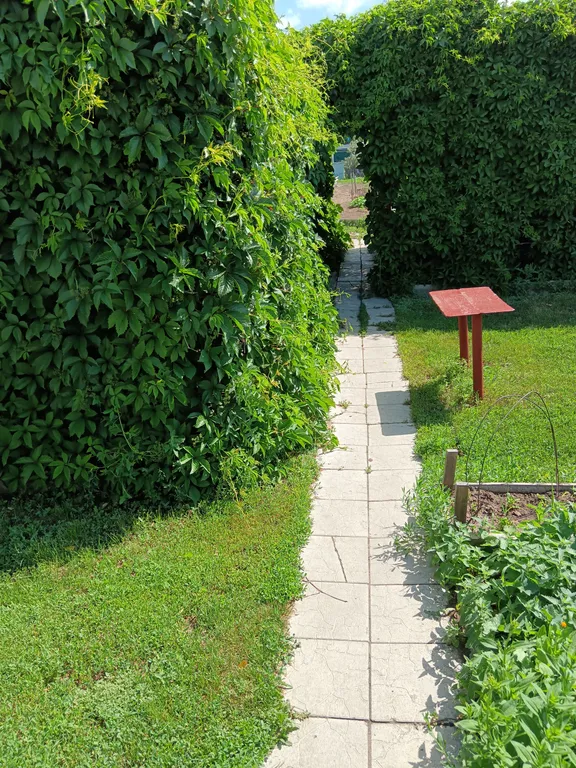 Гостевой домик в 800м от озера Яровое для 4 человек