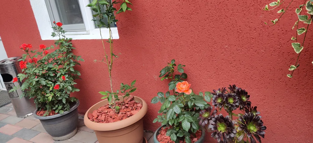 Апартамент с видом на достопримечательности