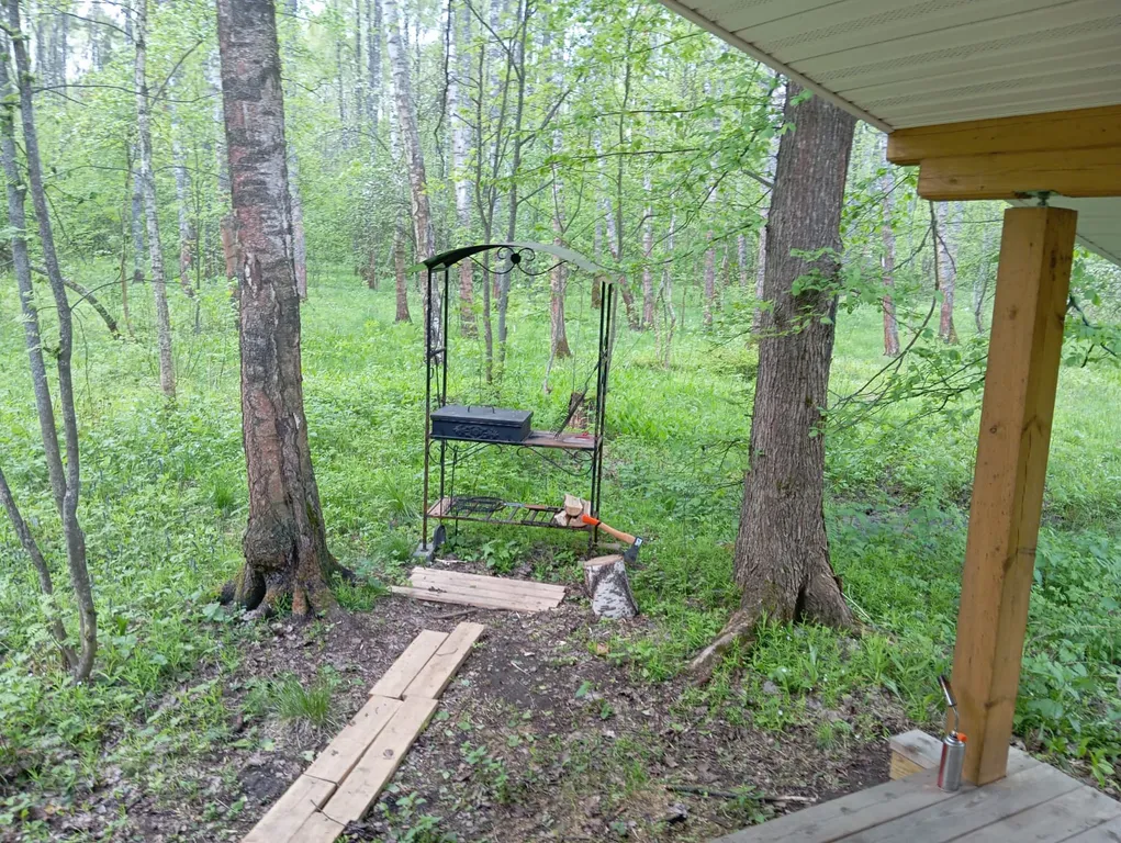 Дом в Подмосковье в лесу, со всеми удобствами