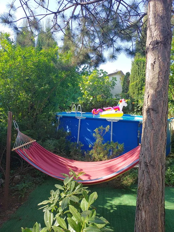 Квартира Квартира Уютная, очень зеленая дача у моря — Севастополь