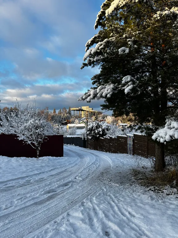 Домик близ Сорочан 2