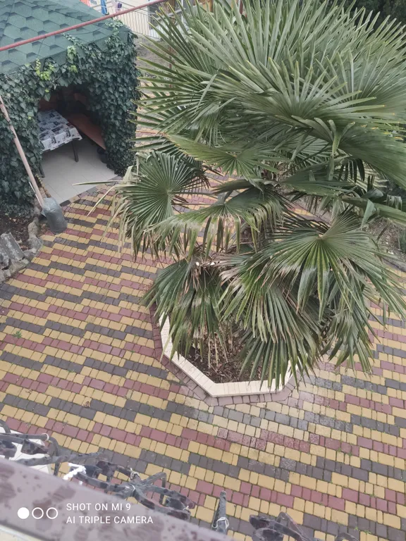 Комфортная комната с сан узлом и балконом