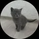 Марина