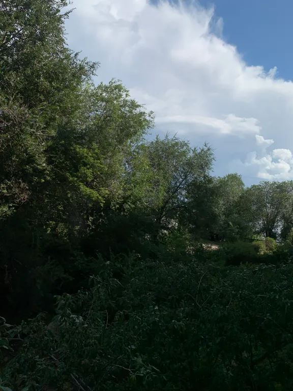 Уютная однокомнатная квартира с новым ремонтом!