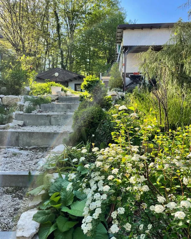 Дом в тени многолетнего дуба