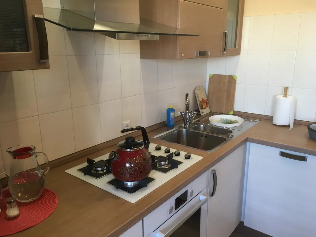 Современные и уютные апартаменты