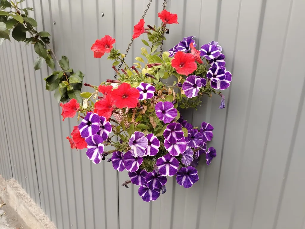 Коттедж Коттедж Уютная квартира в курортной зоне — Кисловодск