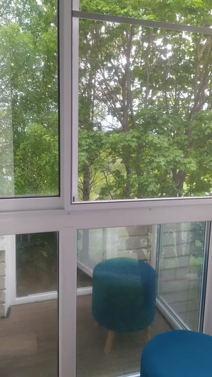 Апартаменты с видом на реку и лес (закаты, рассветы, пение птиц)