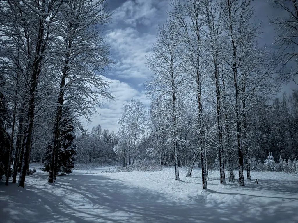 Терем "Русская былина"