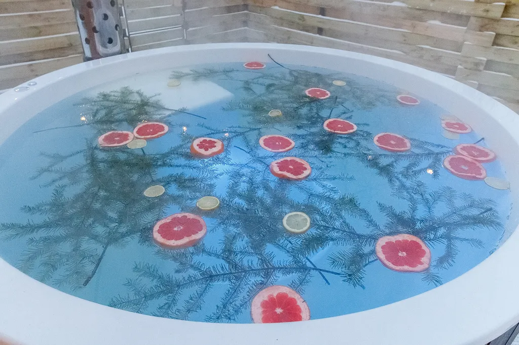 Дом Берёзка