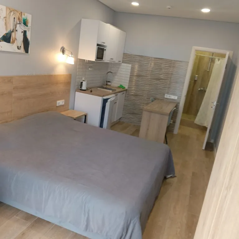 Квартира Апартаменты Парус Студия 8 — Прасковеевка