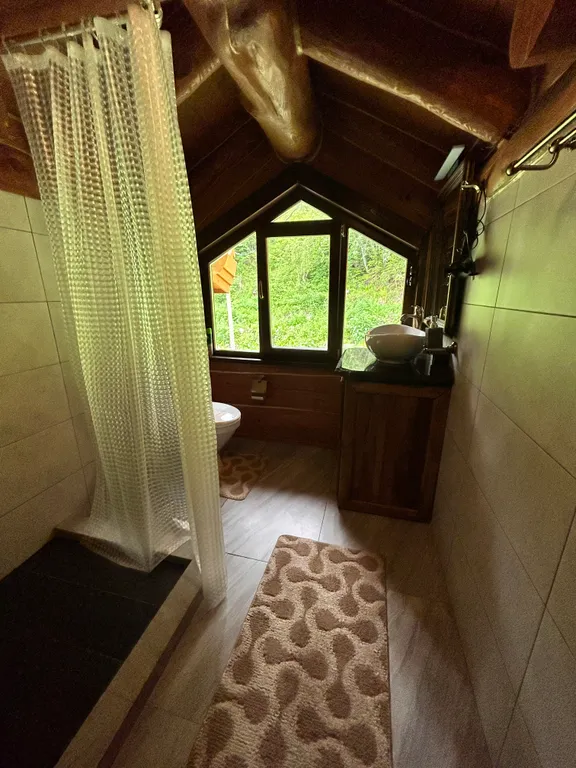 Элитное большое шале с шикарным видом на горы