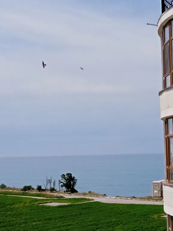 Квартира Квартира Апартамент с видом на море — Геленджик