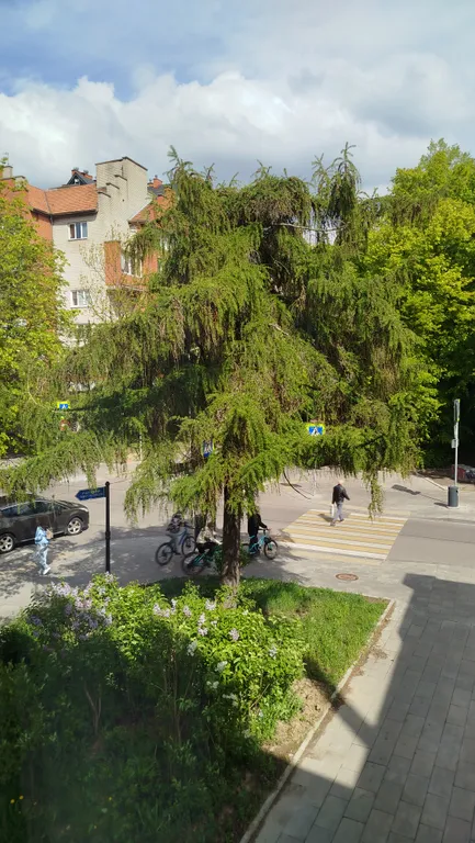 Квартира Комфортная квартира в центральном районе — Калининград