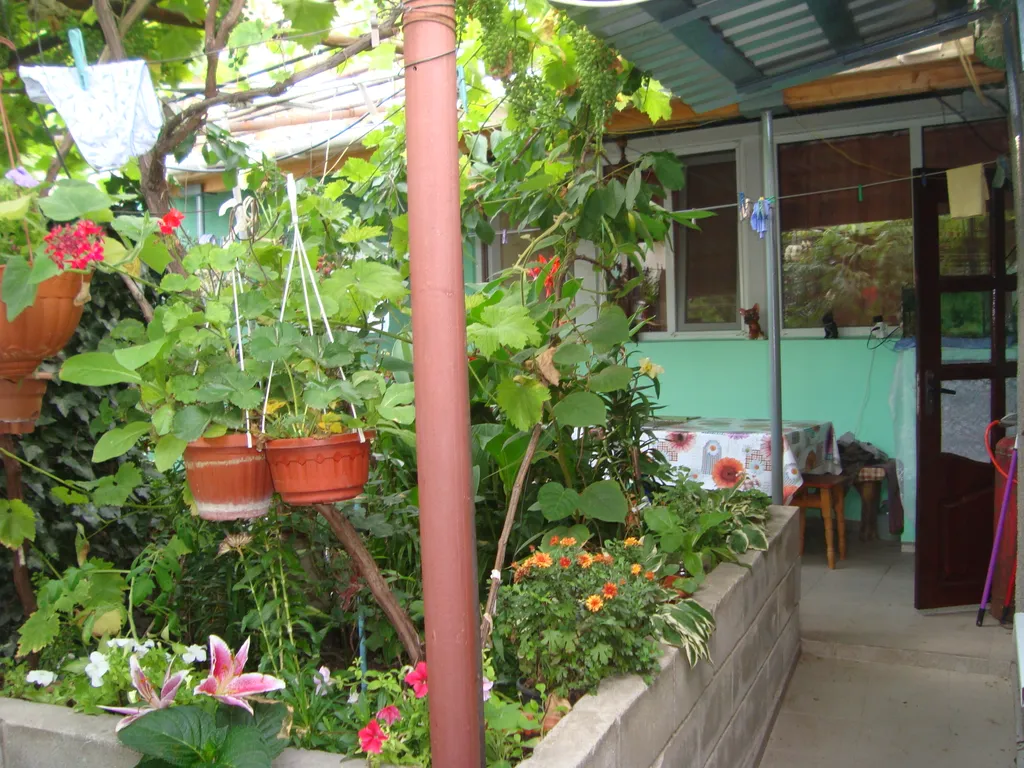 Аисты с видом на море