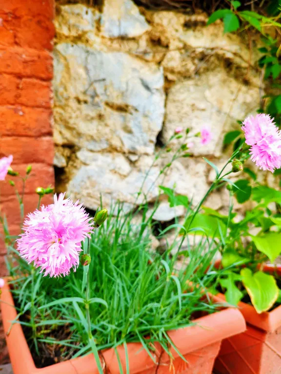 Коттедж Дом с двумя спальнями и двориком в историческом центре — Пятигорск