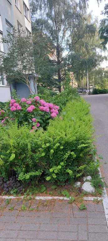 Квартира Квартира с лучшей туристической локацией — Калининград