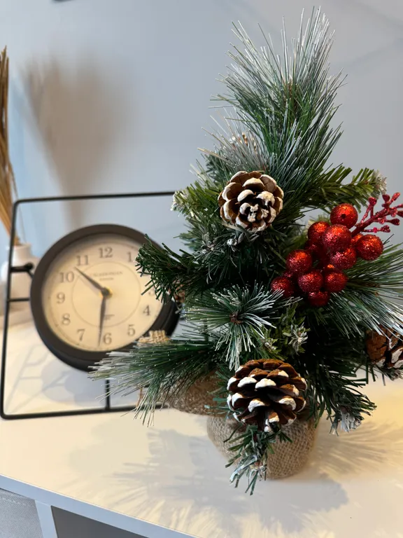 Квартира 2-комнатная квартира на побережье — Зеленоградск