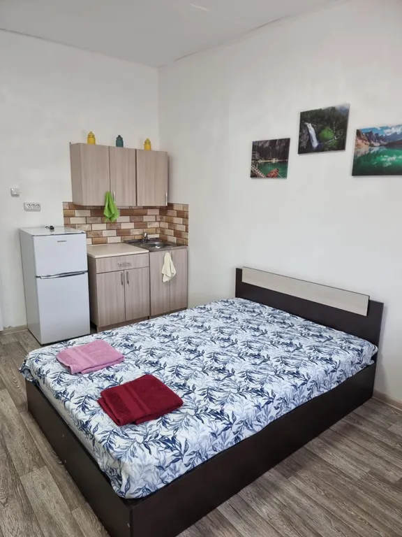 Квартира Квартира Апартамент в частном доме, с отдельным входом — Геленджик