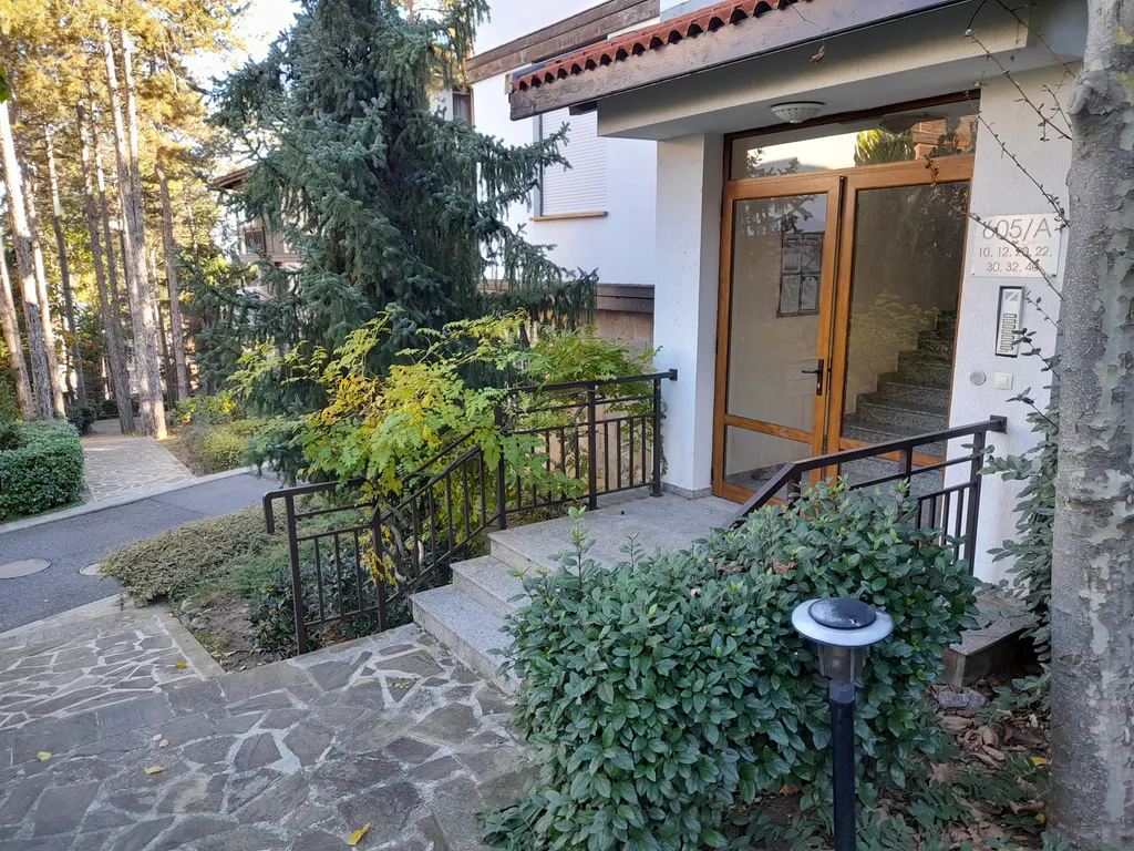 Трехкомнатный люкс в соснах у моря в Санта Марина