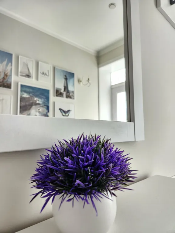 Апартаменты с садом в центре города