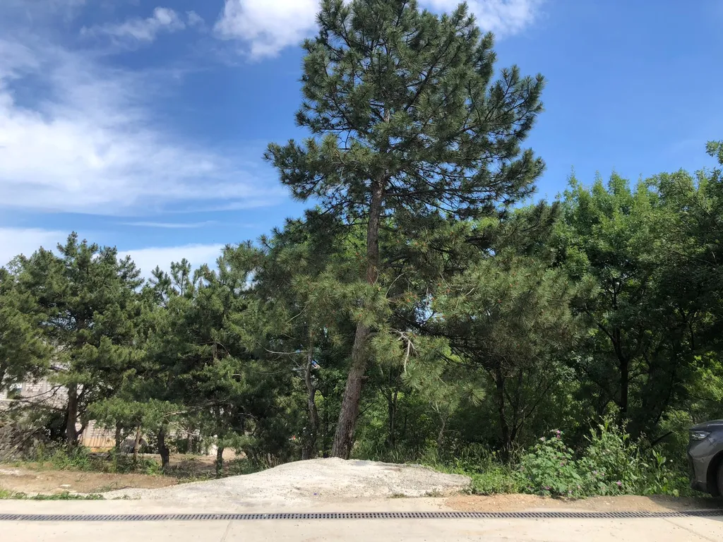 Элитный дом