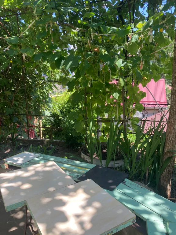 Симпатичный коттедж в тихом районе Приморья