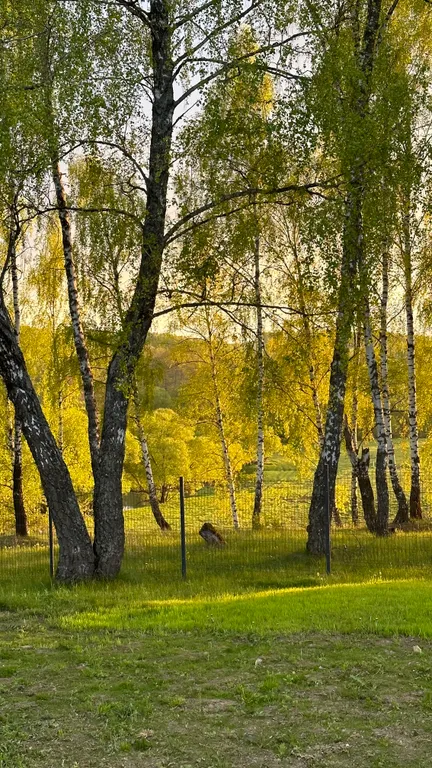 Большой афрейм