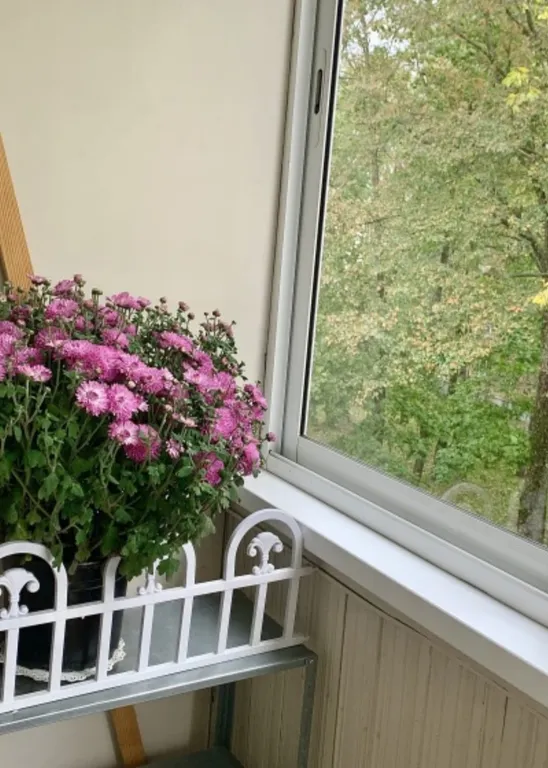 Лучшие апартаменты в центре города