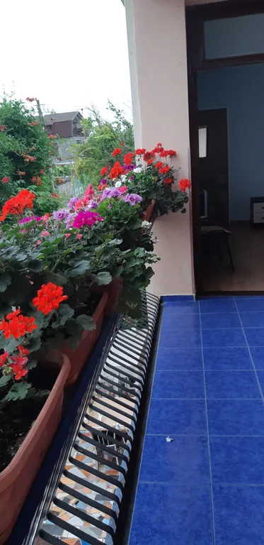 Квартира Комната — Сухум