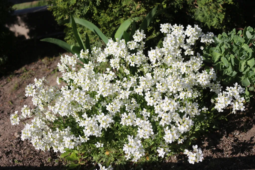 Коттедж с баней Жировичи около Слоним, Гродно, Брест, Минск