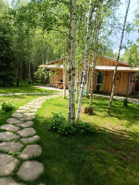 Домик в лесу с баней