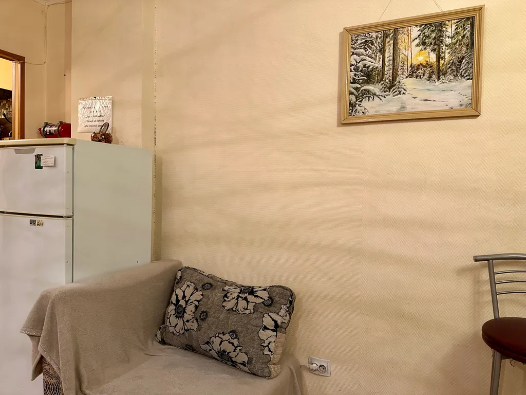 Уютная просторная студия